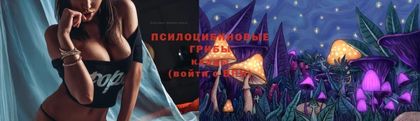 прущая мука Надым