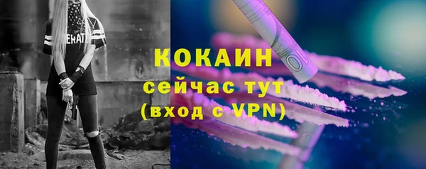 прущие грибы Михайловск