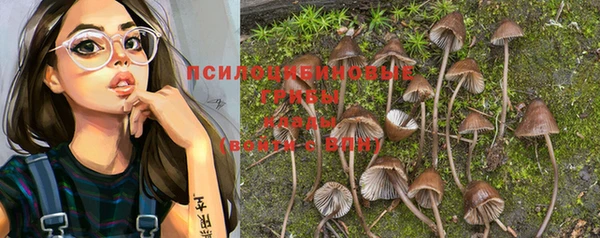 прущая мука Надым