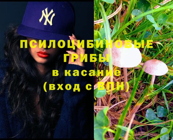 мяу мяу мука Навашино